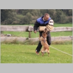 Dakota beim bedraengen.JPG